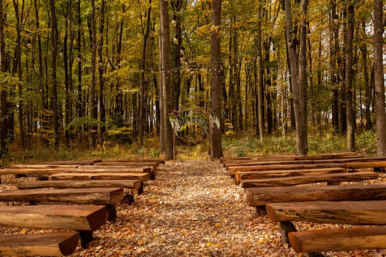Empty outdoor wedding ceremony aisle lined with wooden benches and golden fall leaves under string lights at Highland Oaks in Palmyra, Indiana