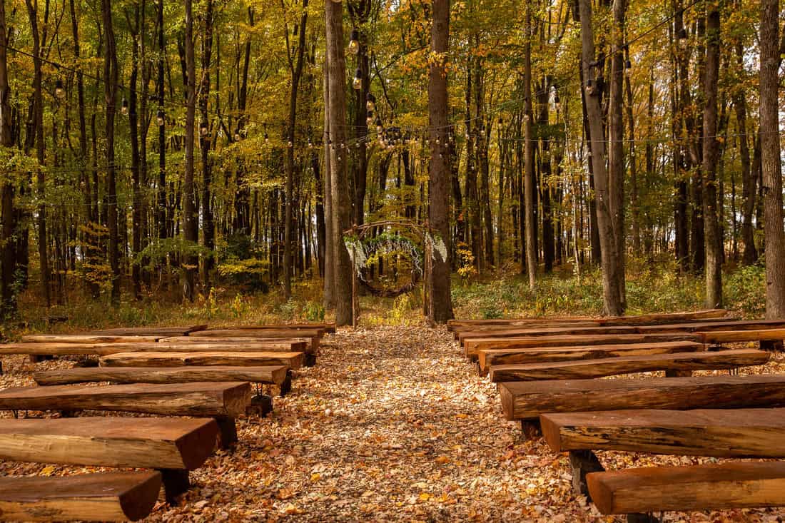 Empty outdoor wedding ceremony aisle lined with wooden benches and golden fall leaves under string lights at Highland Oaks in Palmyra, Indiana